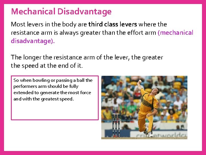 Mechanical Disadvantage Most levers in the body are third class levers where the resistance