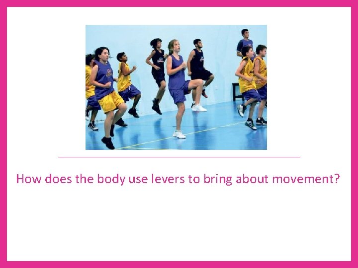 How does the body use levers to bring about movement? 