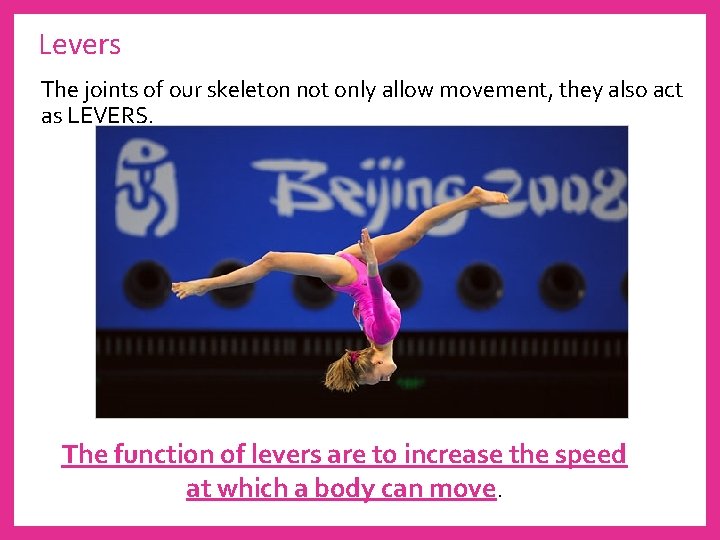 Levers The joints of our skeleton not only allow movement, they also act as