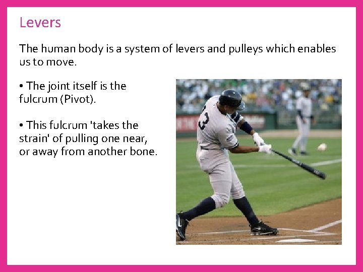 Levers The human body is a system of levers and pulleys which enables us