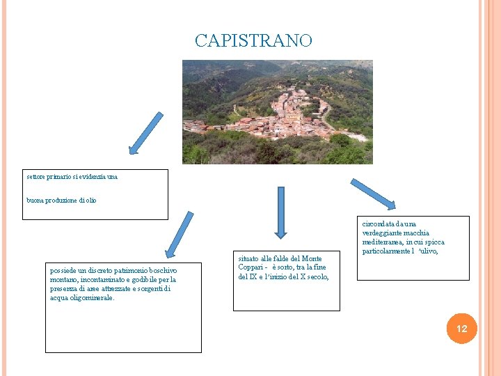 CAPISTRANO settore primario si evidenzia una buona produzione di olio possiede un discreto patrimonio