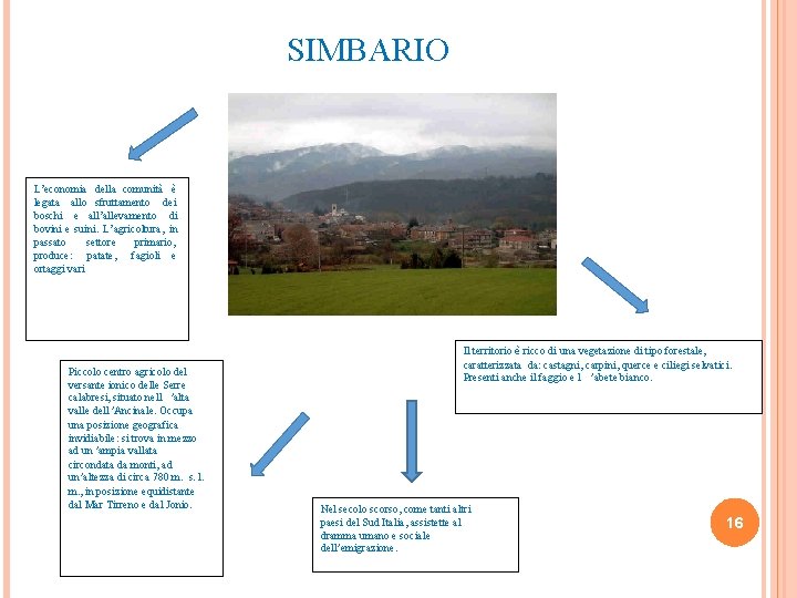 SIMBARIO L’economia della comunità è legata allo sfruttamento dei boschi e all’allevamento di bovini