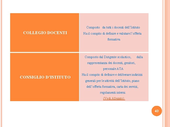 Composto da tutti i docenti dell’Istituto COLLEGIO DOCENTI Ha il compito di definire e