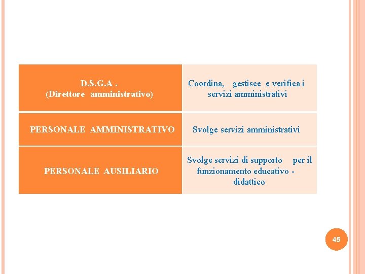 D. S. G. A. (Direttore amministrativo) PERSONALE AMMINISTRATIVO PERSONALE AUSILIARIO Coordina, gestisce e verifica