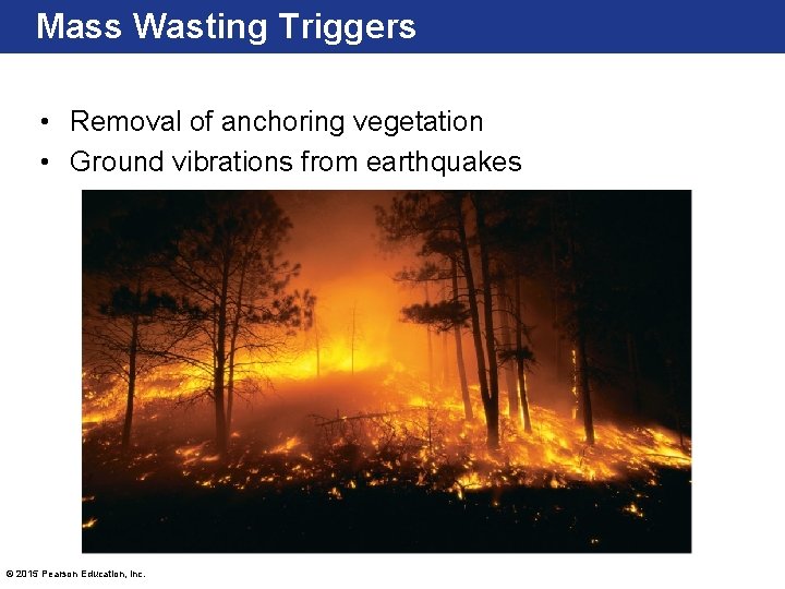Mass Wasting Triggers • Removal of anchoring vegetation • Ground vibrations from earthquakes ©