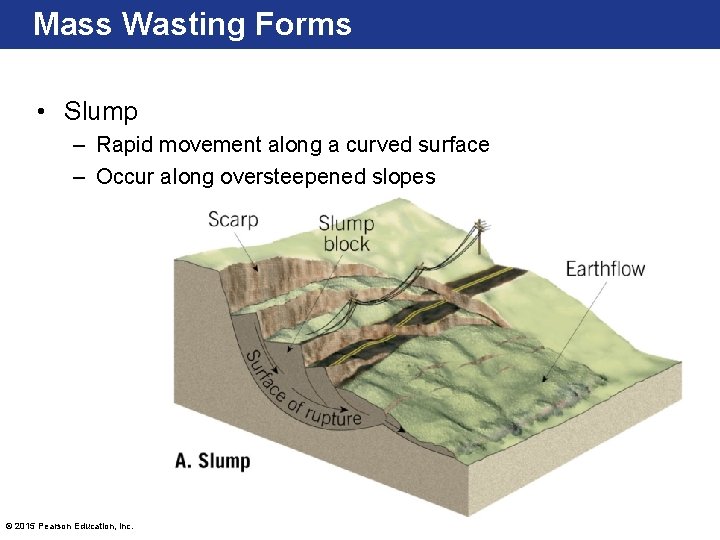 Mass Wasting Forms • Slump – Rapid movement along a curved surface – Occur