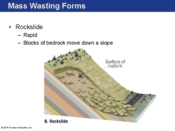 Mass Wasting Forms • Rockslide – Rapid – Blocks of bedrock move down a