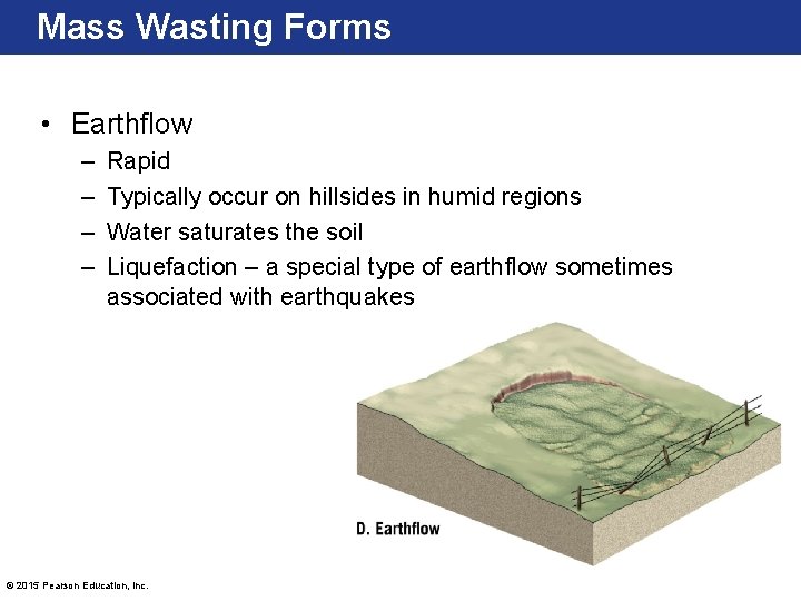 Mass Wasting Forms • Earthflow – – Rapid Typically occur on hillsides in humid