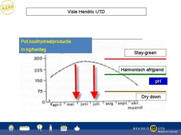 Visie Hendrix UTD Pot. koolhydraatproductie. Harmonisch afrijpende rassen In kg/ha/dag Stay-green Harmonisch afrijpend Kolf