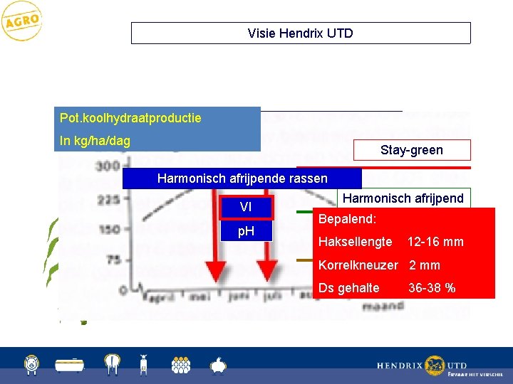 Visie Hendrix UTD Pot. koolhydraatproductie. Harmonisch afrijpende rassen In kg/ha/dag Stay-green Harmonisch afrijpende rassen