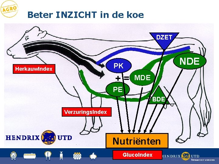Beter INZICHT in de koe DZET NDE PK Herkauw. Index += MDE PE BDE