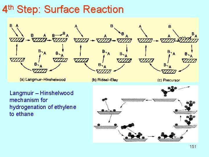 4 th Step: Surface Reaction Langmuir – Hinshelwood mechanism for hydrogenation of ethylene to