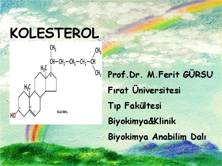 KOLESTEROL Prof. Dr. M. Ferit GÜRSU Fırat Üniversitesi Tıp Fakültesi Biyokimya&Klinik Biyokimya Anabilim Dalı