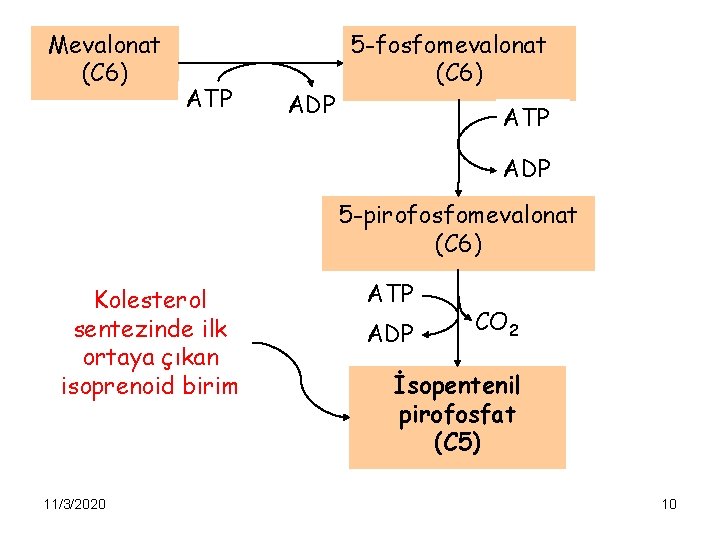 Mevalonat (C 6) ATP ADP 5 -fosfomevalonat (C 6) ATP ADP 5 -pirofosfomevalonat (C
