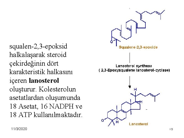 squalen-2, 3 -epoksid halkalaşarak steroid çekirdeğinin dört karakteristik halkasını içeren lanosterol oluşturur. Kolesterolun asetatlardan