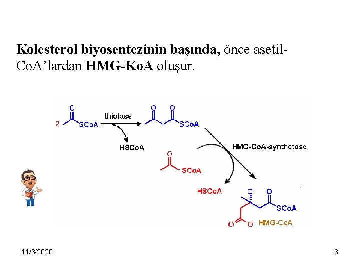 Kolesterol biyosentezinin başında, önce asetil. Co. A’lardan HMG-Ko. A oluşur. 11/3/2020 3 