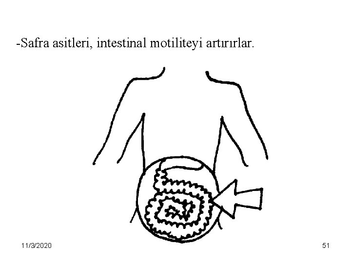 -Safra asitleri, intestinal motiliteyi artırırlar. 11/3/2020 51 