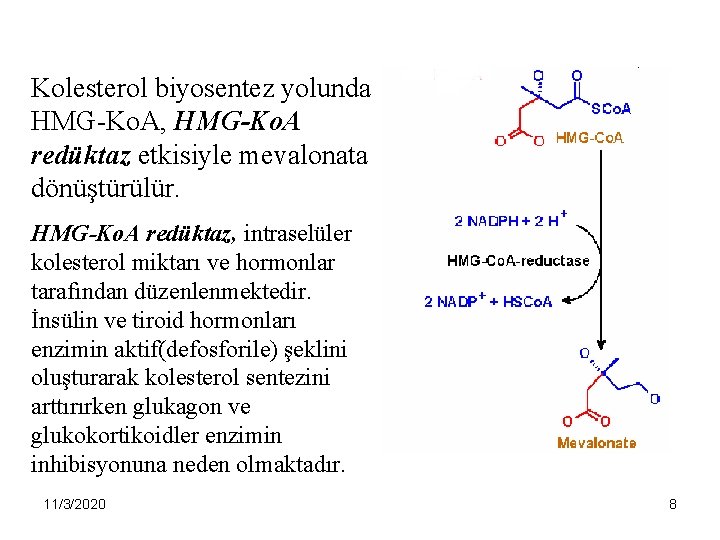 Kolesterol biyosentez yolunda HMG-Ko. A, HMG-Ko. A redüktaz etkisiyle mevalonata dönüştürülür. HMG-Ko. A redüktaz,