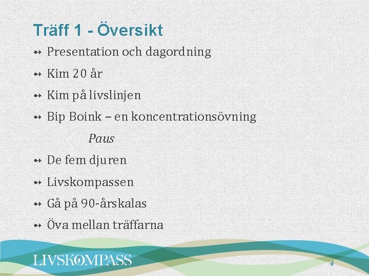 Träff 1 - Översikt ➻ Presentation och dagordning ➻ Kim 20 år ➻ Kim