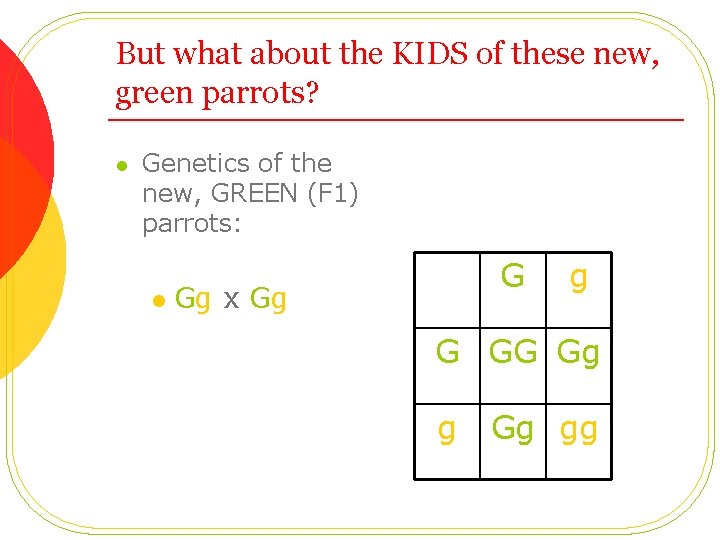 But what about the KIDS of these new, green parrots? l Genetics of the