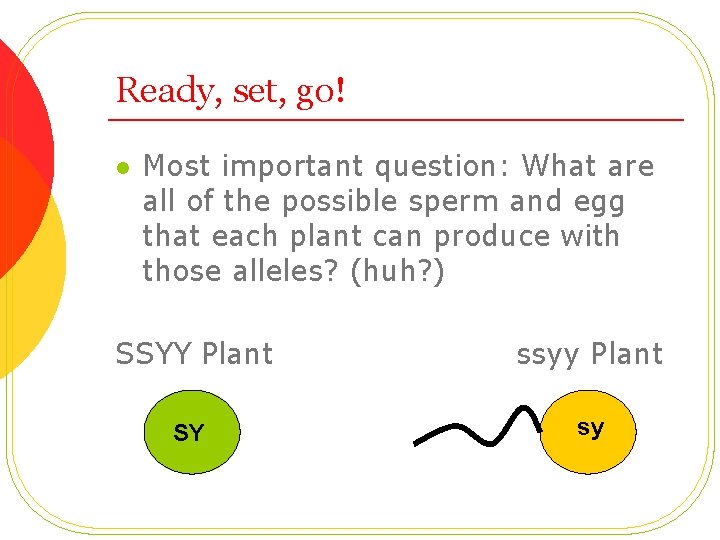 Ready, set, go! l Most important question: What are all of the possible sperm