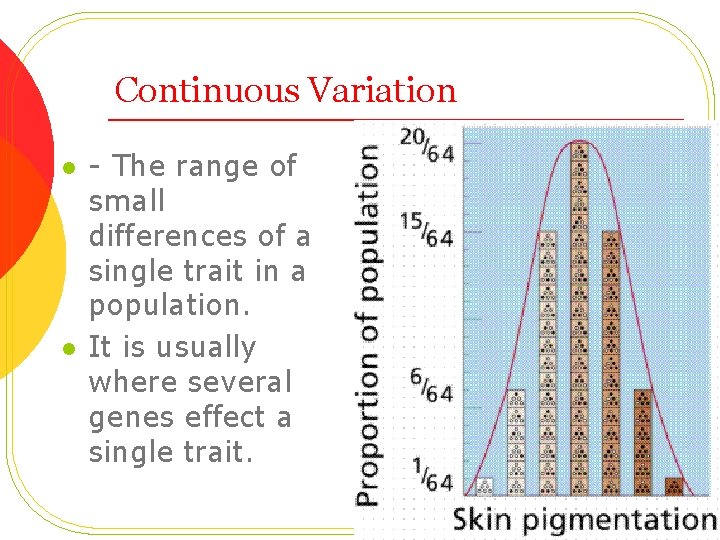 Continuous Variation l l - The range of small differences of a single trait