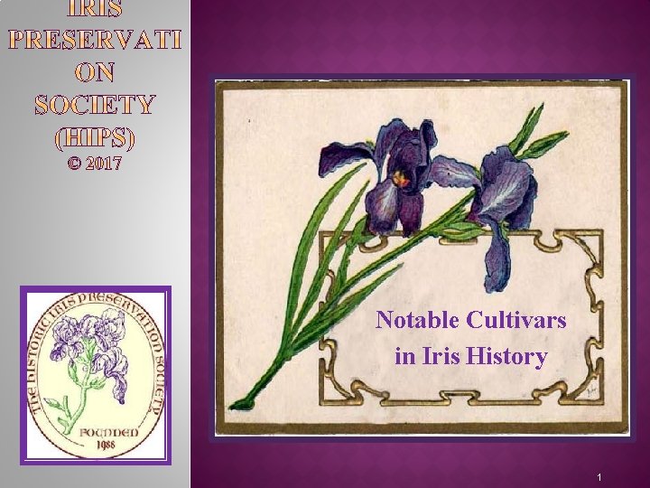 Notable Cultivars in Iris History 1 