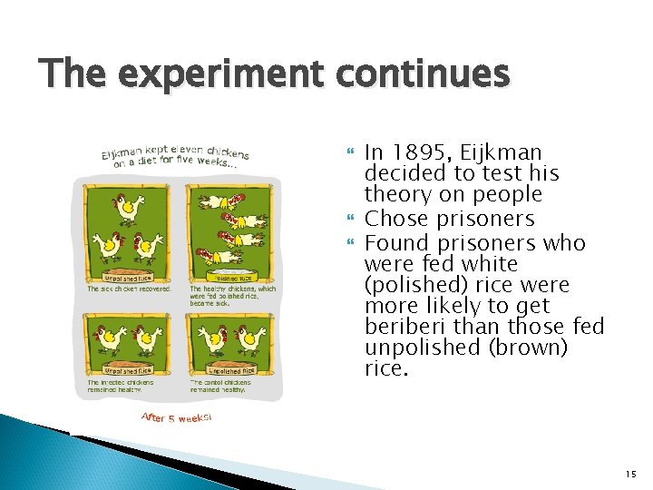 The experiment continues In 1895, Eijkman decided to test his theory on people Chose