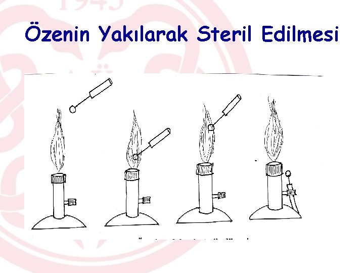 Özenin Yakılarak Steril Edilmesi 