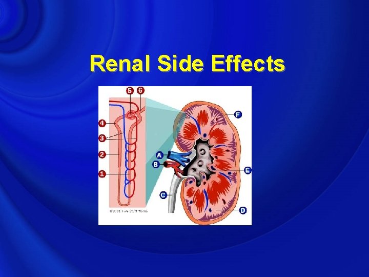 Renal Side Effects 