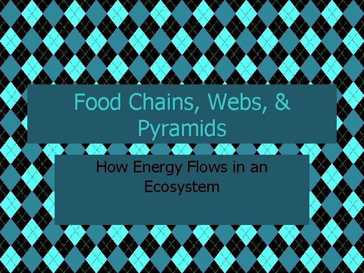 Food Chains, Webs, & Pyramids How Energy Flows in an Ecosystem 