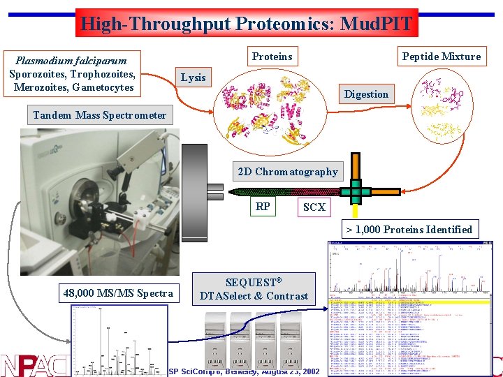 High-Throughput Proteomics: Mud. PIT Proteins Plasmodium falciparum Sporozoites, Trophozoites, Merozoites, Gametocytes Peptide Mixture Lysis High-Throughput Proteomics: Mud. PIT Proteins Plasmodium falciparum Sporozoites, Trophozoites, Merozoites, Gametocytes Peptide Mixture Lysis
