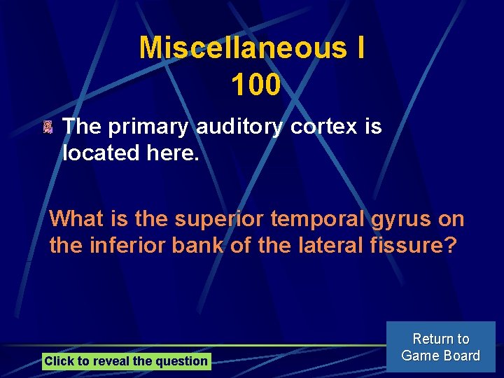 Miscellaneous I 100 The primary auditory cortex is located here. What is the superior