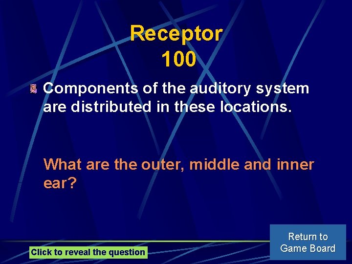 Receptor 100 Components of the auditory system are distributed in these locations. What are