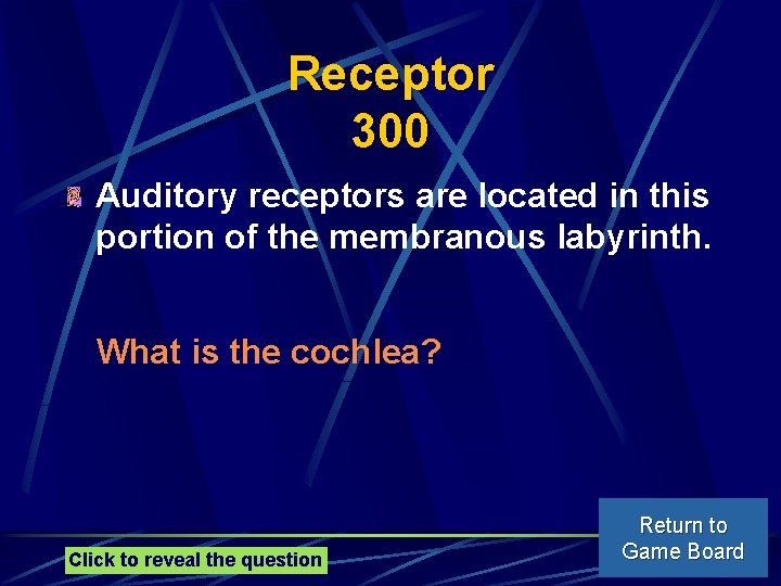 Receptor 300 Auditory receptors are located in this portion of the membranous labyrinth. What