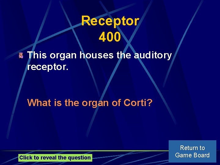 Receptor 400 This organ houses the auditory receptor. What is the organ of Corti?
