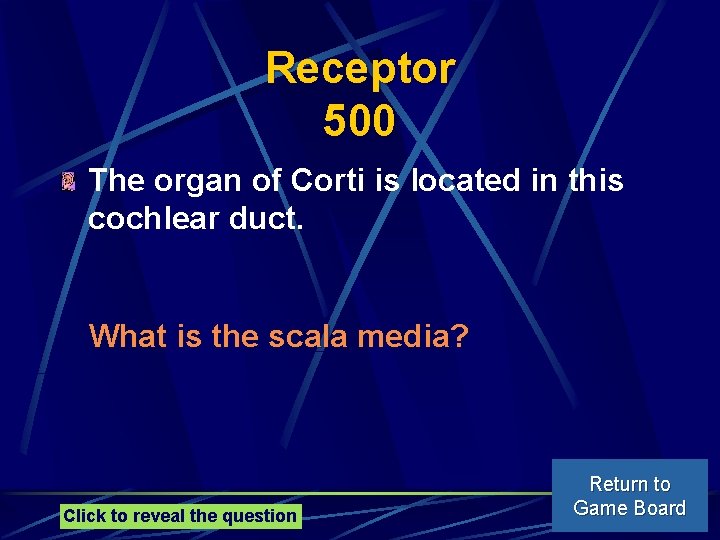 Receptor 500 The organ of Corti is located in this cochlear duct. What is