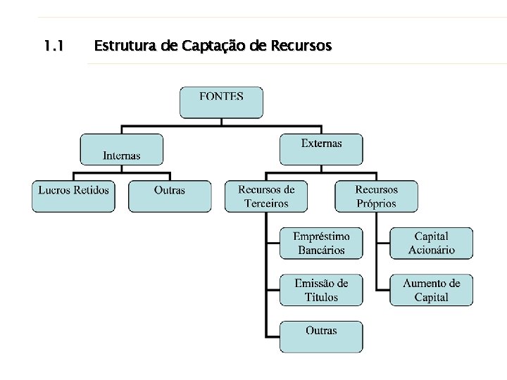 1. 1 Estrutura de Captação de Recursos 