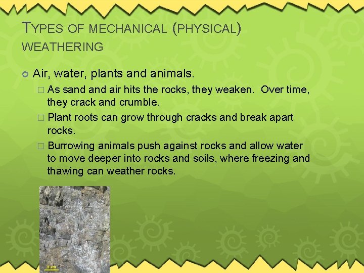 TYPES OF MECHANICAL (PHYSICAL) WEATHERING Air, water, plants and animals. � As sand air