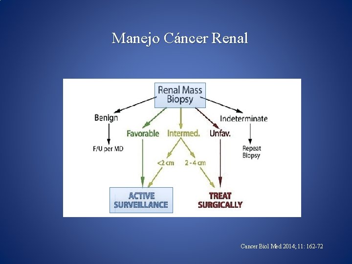 Manejo Cáncer Renal Cancer Biol Med 2014; 11: 162 -72 