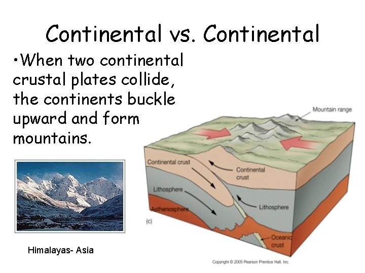 Continental vs. Continental • When two continental crustal plates collide, the continents buckle upward