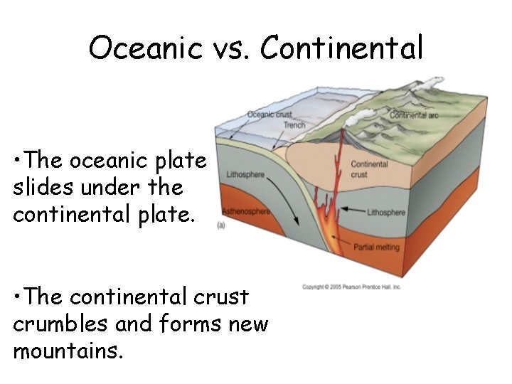 Oceanic vs. Continental • The oceanic plate slides under the continental plate. • The