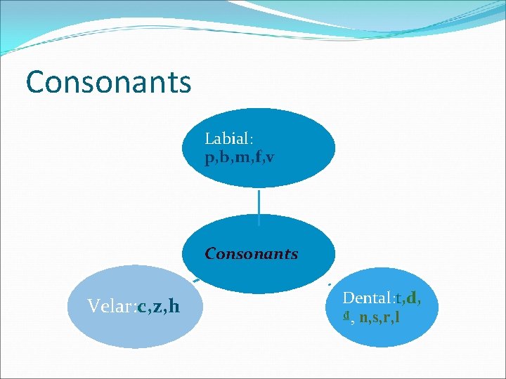 Consonants Labial: p, b, m, f, v Consonants Velar: c, z, h Dental: t,