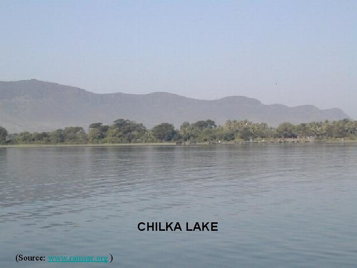 CHILKA LAKE (Source: www. ramsar. org ) 