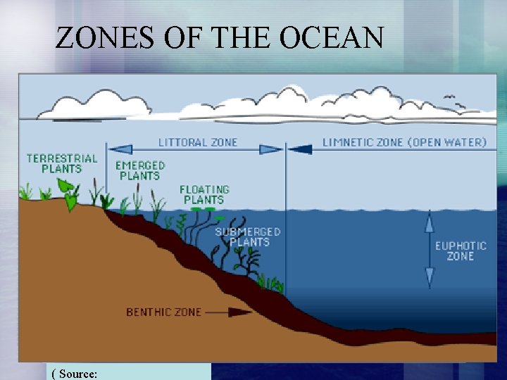 ZONES OF THE OCEAN ( Source: 