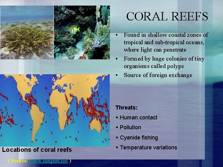 CORAL REEFS • Found in shallow coastal zones of tropical and sub-tropical oceans, where