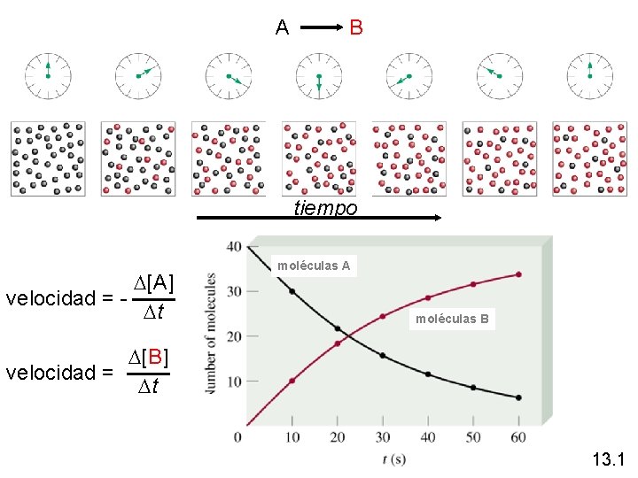 A B tiempo D[A] velocidad = Dt moléculas A moléculas B D[B] velocidad =