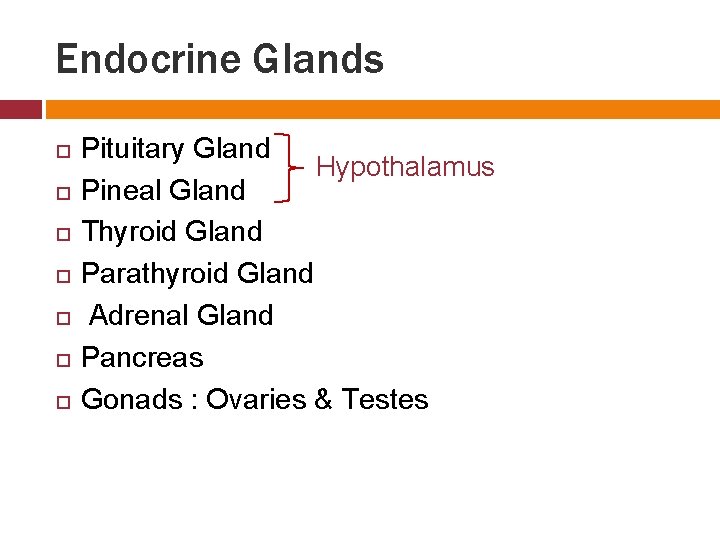 Endocrine Glands Pituitary Gland Hypothalamus Pineal Gland Thyroid Gland Parathyroid Gland Adrenal Gland Pancreas