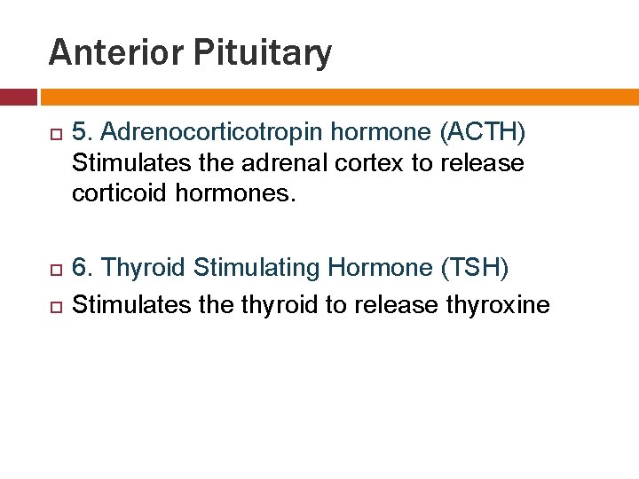 Anterior Pituitary 5. Adrenocorticotropin hormone (ACTH) Stimulates the adrenal cortex to release corticoid hormones.