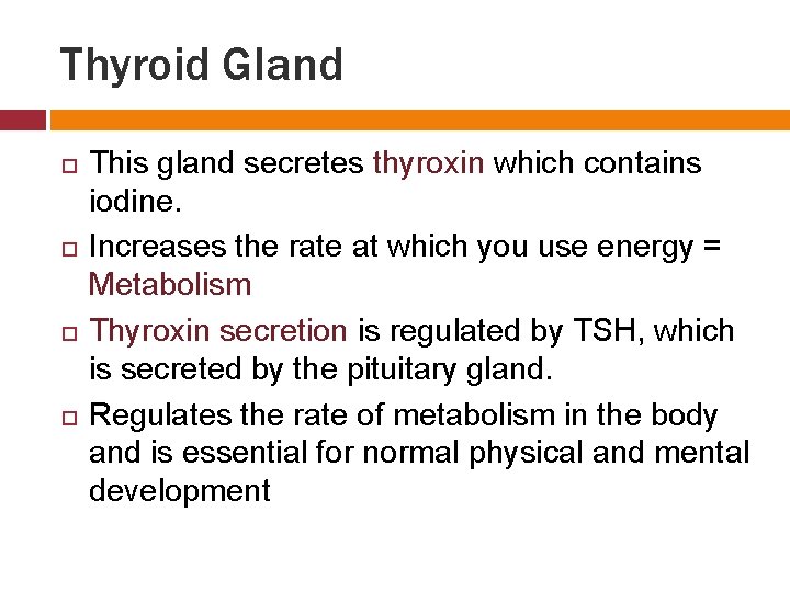 Thyroid Gland This gland secretes thyroxin which contains iodine. Increases the rate at which